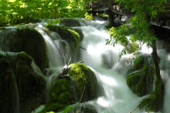 Natur
